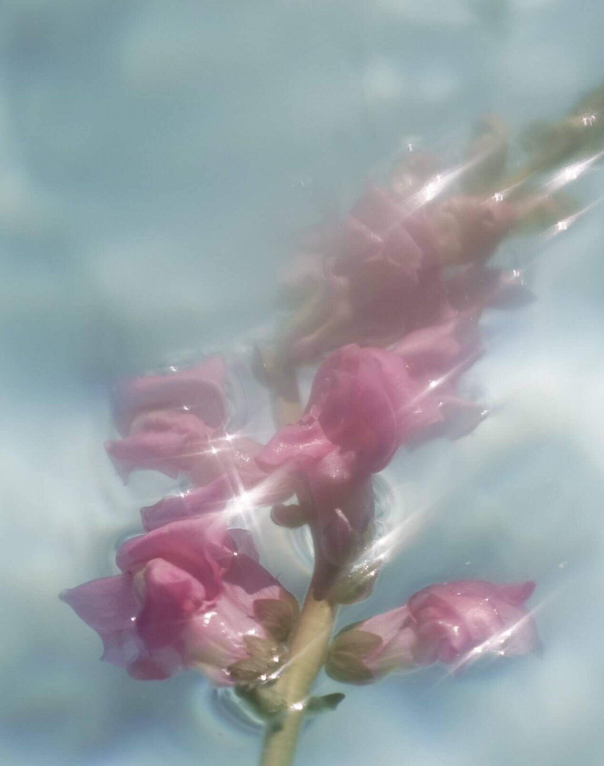 Tónico Hidratante - 5